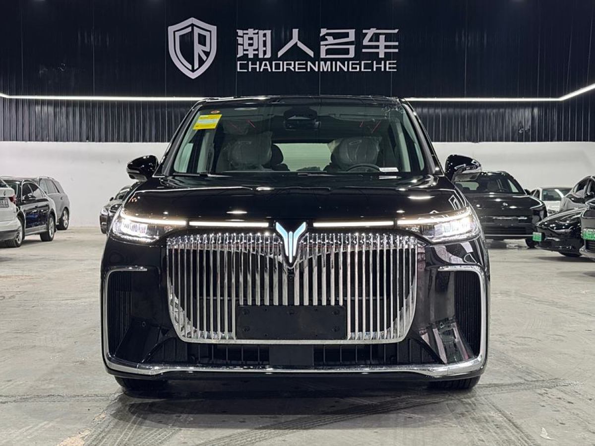 嵐圖 夢想家  2024款 PHEV 超長續(xù)航尊貴版圖片