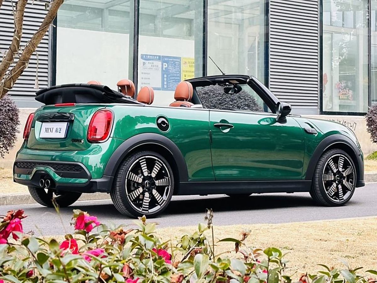 MINI MINI  2023款 改款二 2.0T COOPER S CABRIO 藝術(shù)家圖片