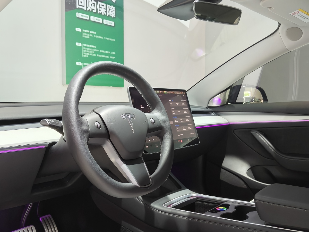 特斯拉 Model 3  2019款 Performance高性能全輪驅(qū)動(dòng)版圖片