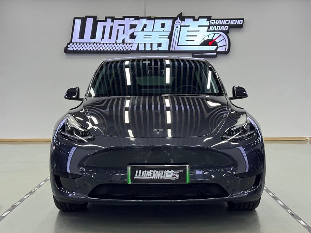 特斯拉 Model Y  2020款 改款 長續(xù)航后輪驅(qū)動版圖片