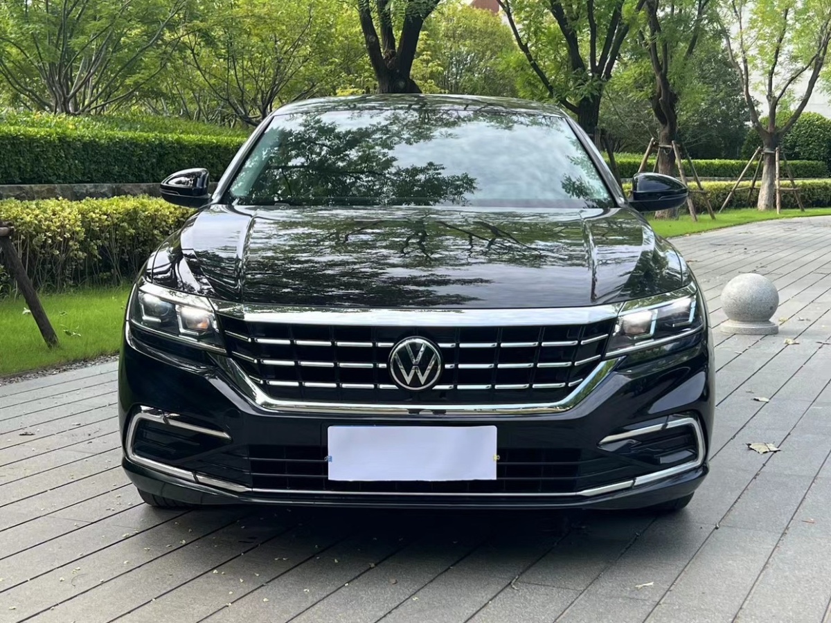 大眾 帕薩特  2021款 280TSI 商務(wù)版圖片