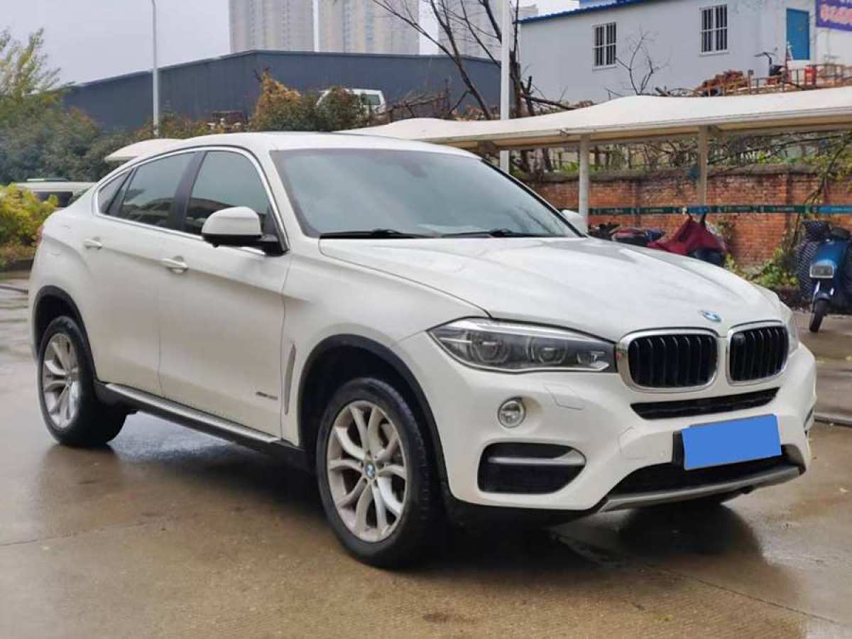 寶馬 寶馬X6  2017款 xDrive35i 領(lǐng)先型圖片