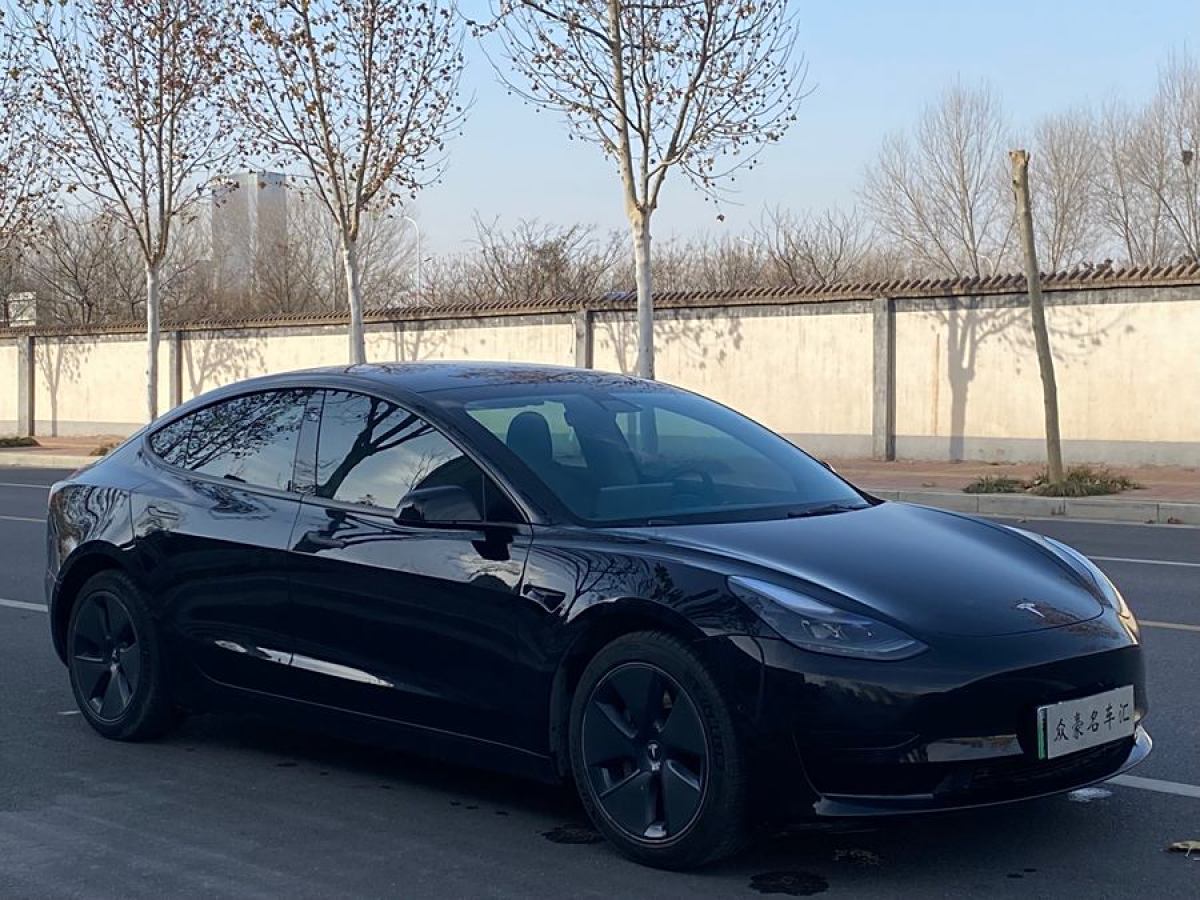 特斯拉 Model 3  2021款 改款 標(biāo)準(zhǔn)續(xù)航后驅(qū)升級(jí)版圖片