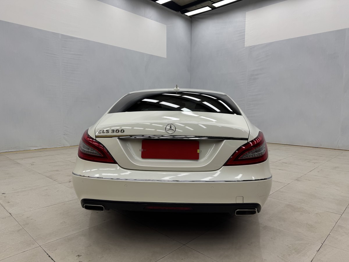 奔馳 奔馳CLS級(jí)  2012款 CLS 300 CGI圖片