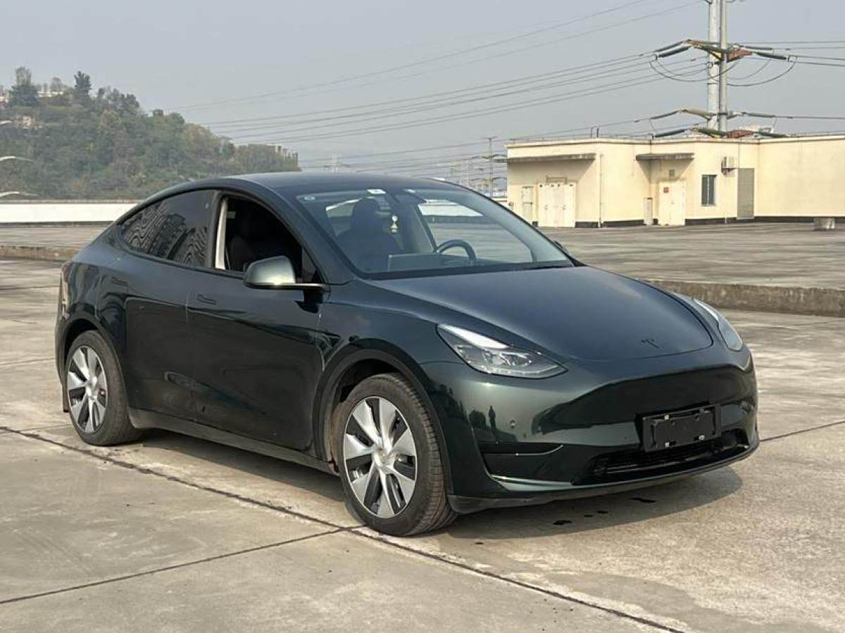 特斯拉 Model 3  2022款 后輪驅(qū)動(dòng)版圖片