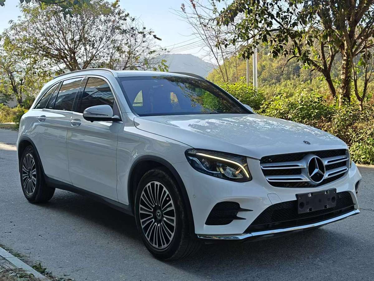 奔馳 奔馳GLC  2019款 GLC 260 4MATIC 動(dòng)感型圖片