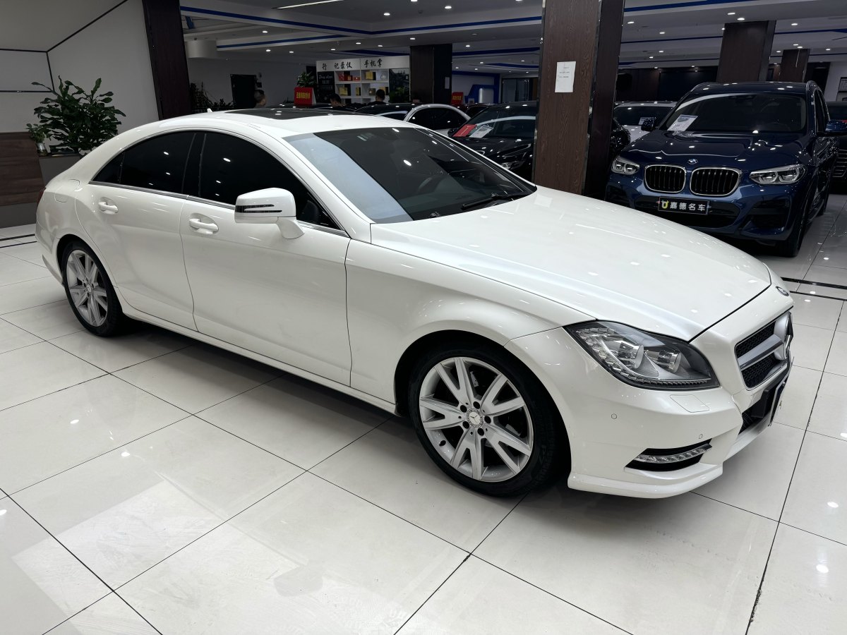 奔馳 奔馳CLS級(jí)  2012款 CLS 300 CGI圖片