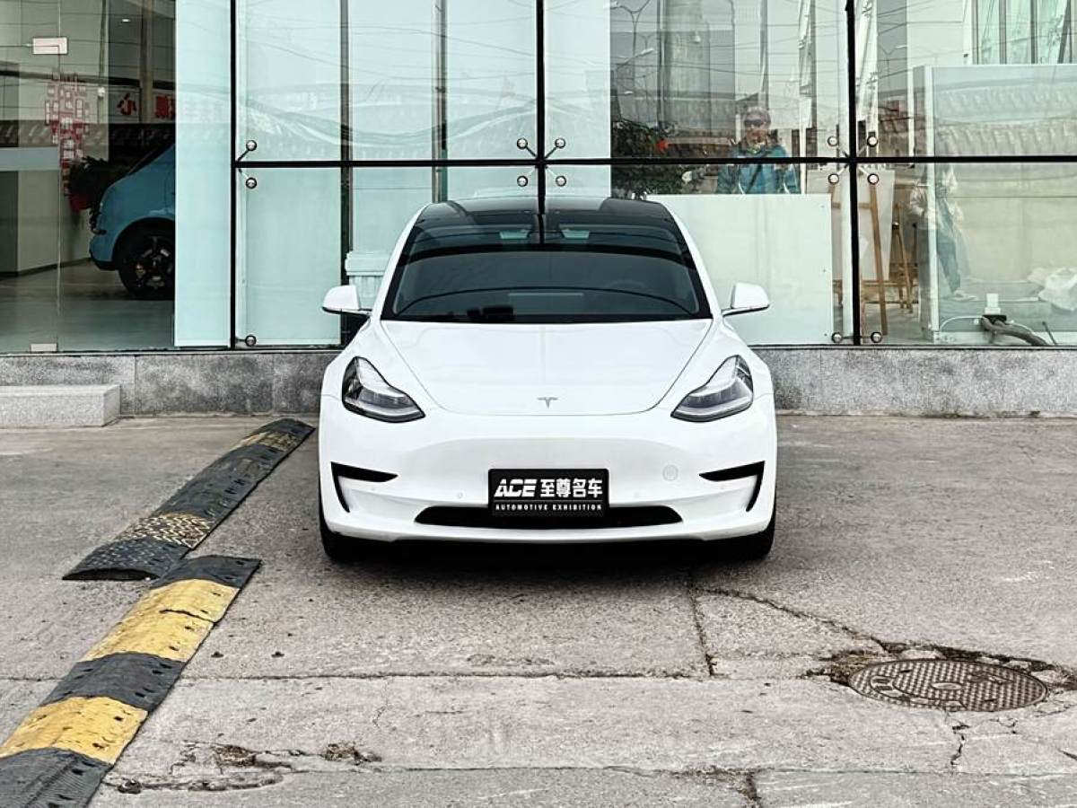 特斯拉 Model 3  2020款 改款 標(biāo)準(zhǔn)續(xù)航后驅(qū)升級(jí)版圖片