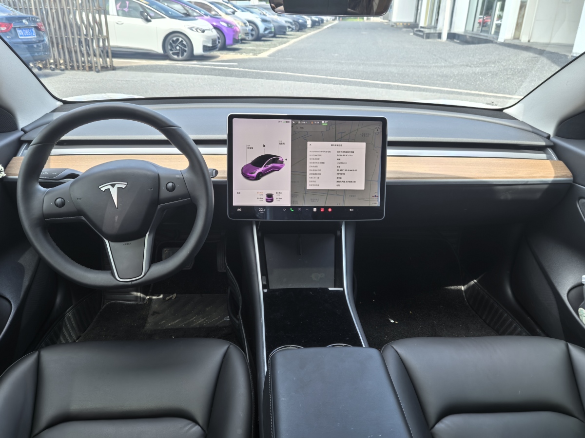 特斯拉 Model 3  2019款 标准续航后驱升级版图片