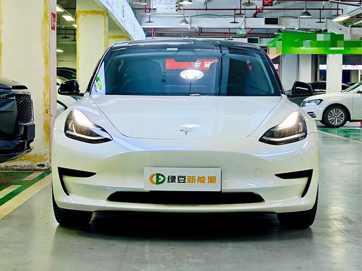 特斯拉 Model 3  2020款 改款 標(biāo)準(zhǔn)續(xù)航后驅(qū)升級版圖片