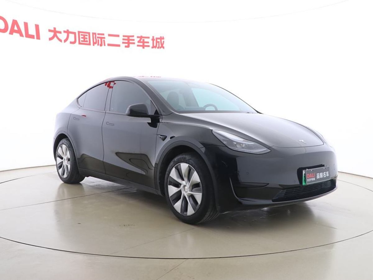 特斯拉 Model Y  2020款 改款 長續(xù)航后輪驅(qū)動版圖片