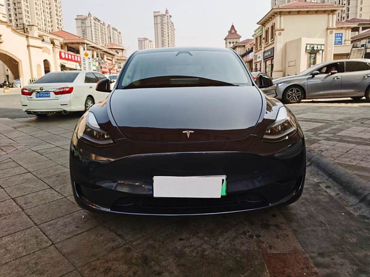 特斯拉 Model 3  2020款 改款 長續(xù)航后輪驅(qū)動(dòng)版圖片