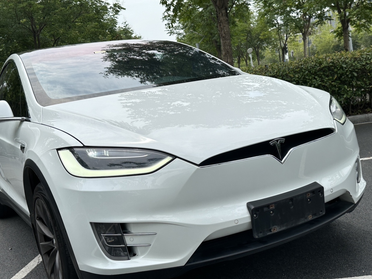 2018年07月特斯拉 Model X  2017款 Model X 100D 長續(xù)航版