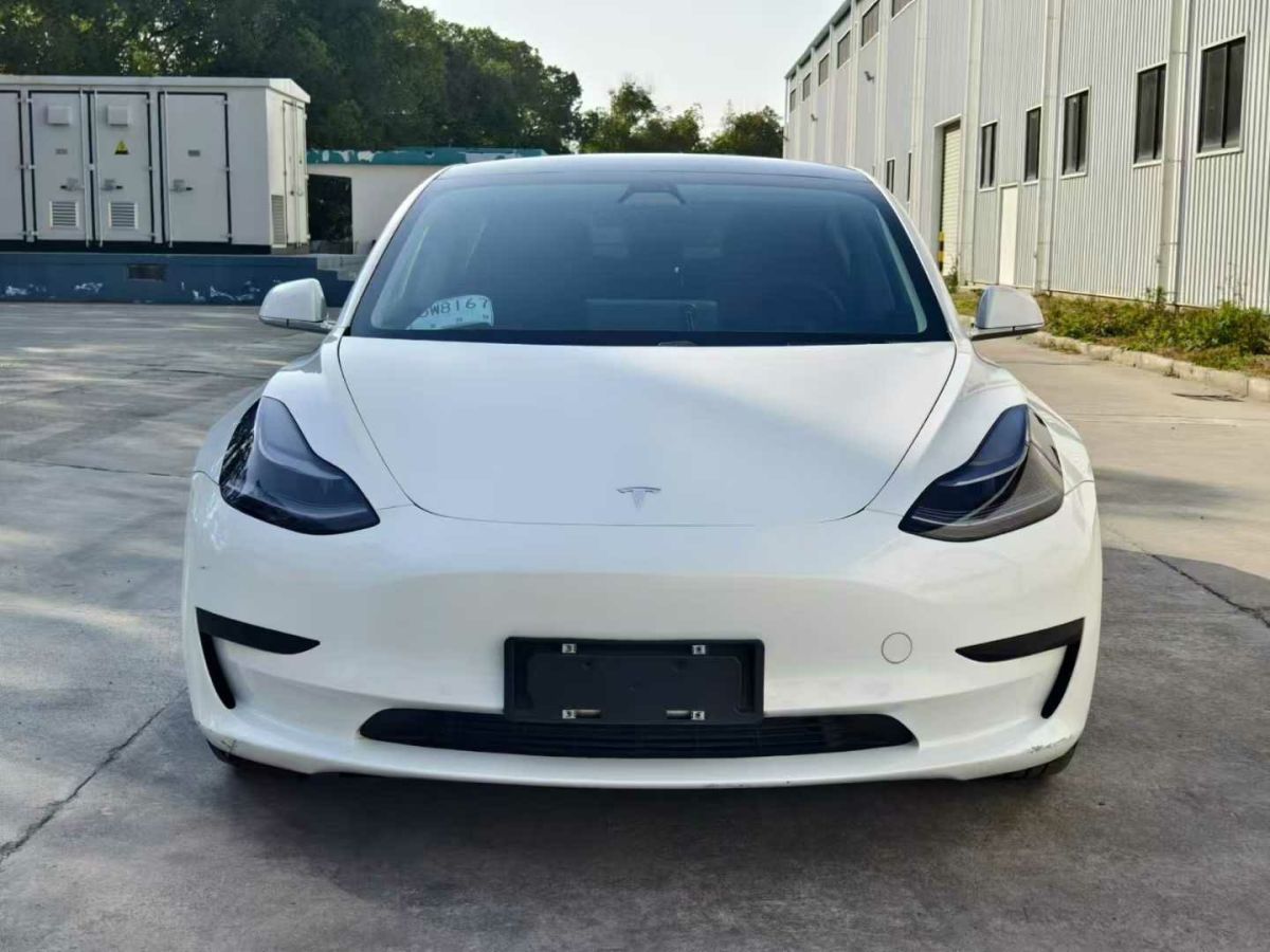 特斯拉 Model X  2020款 Performance 高性能版圖片