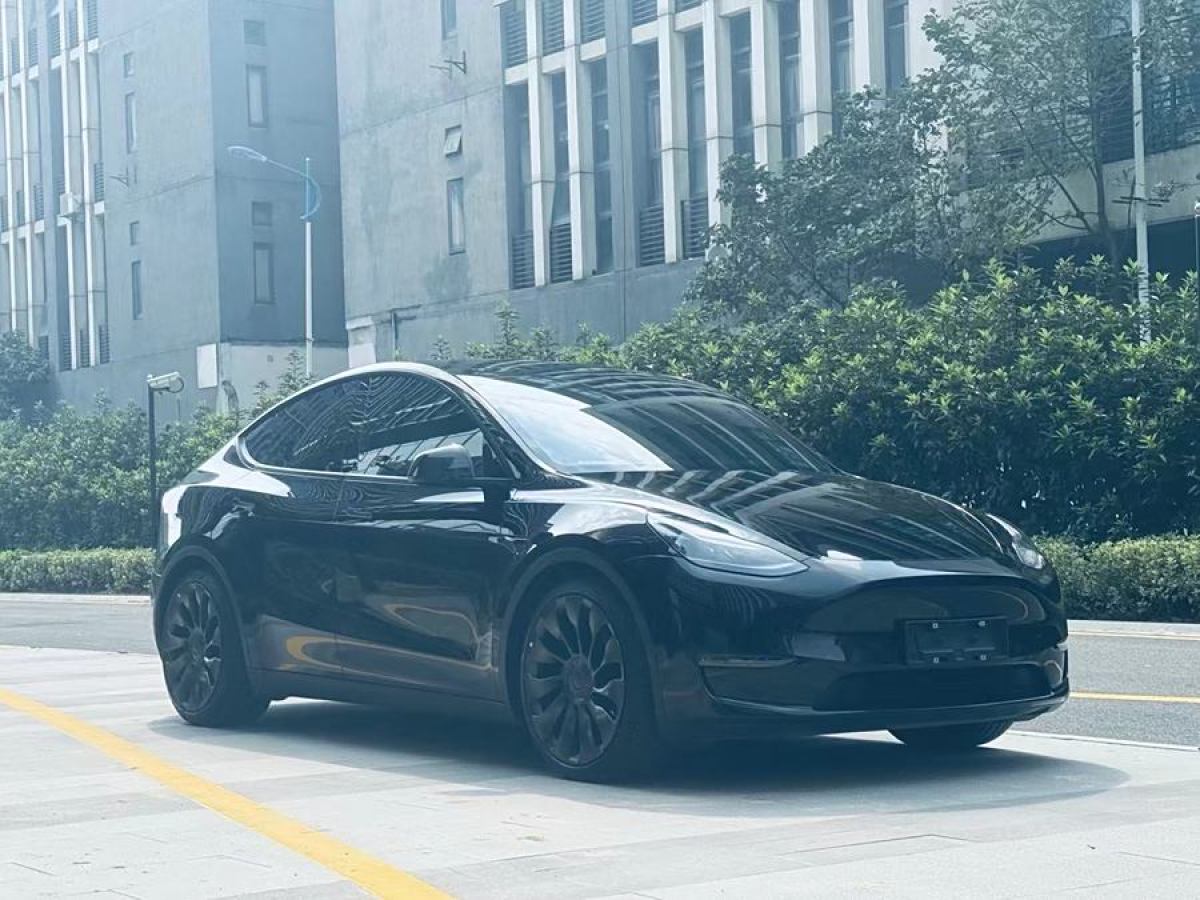 特斯拉 Model 3  2022款 Performance高性能全輪驅(qū)動(dòng)版圖片