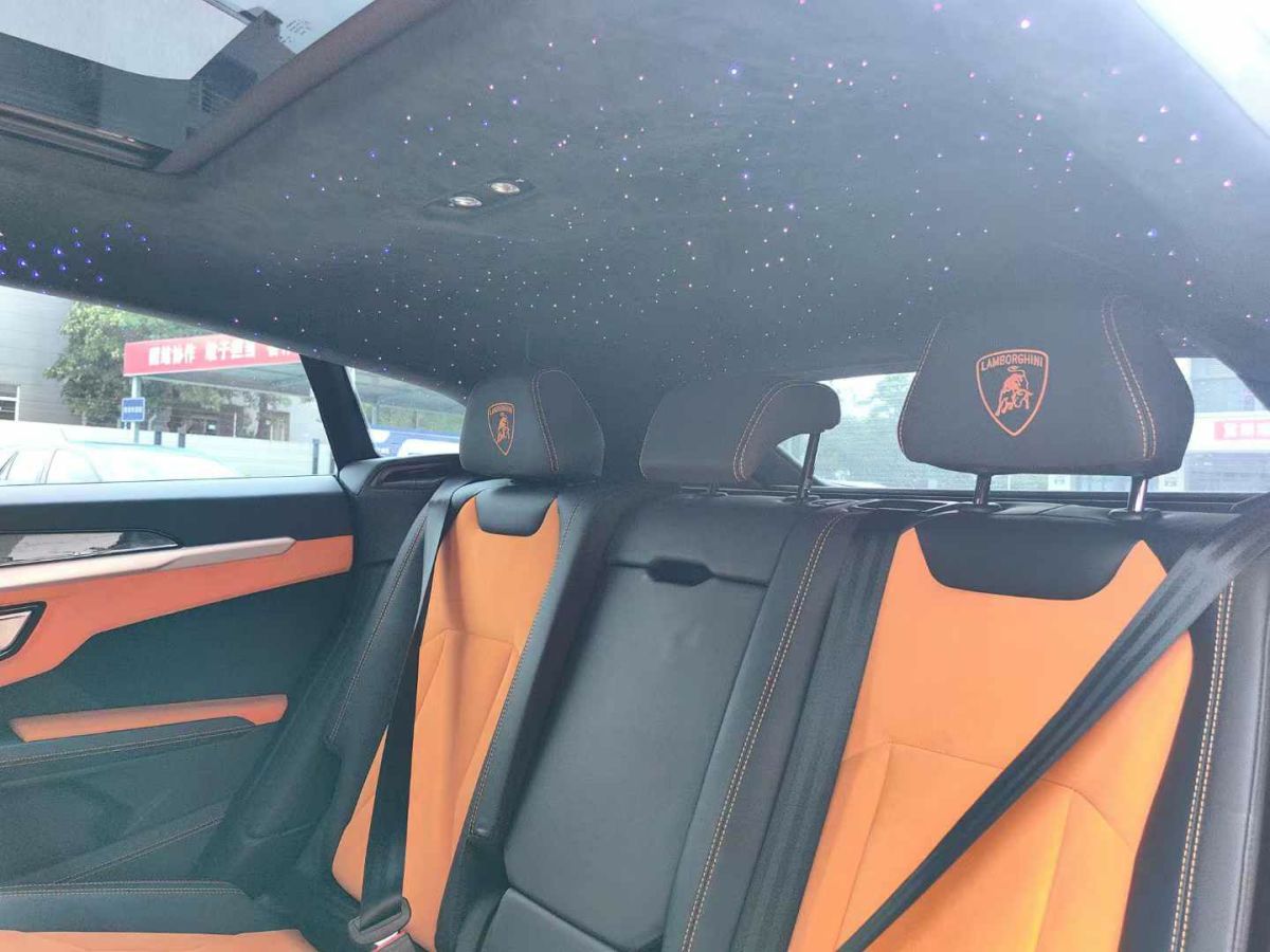 2019年1月蘭博基尼 Aventador  2019款 Aventador SVJ