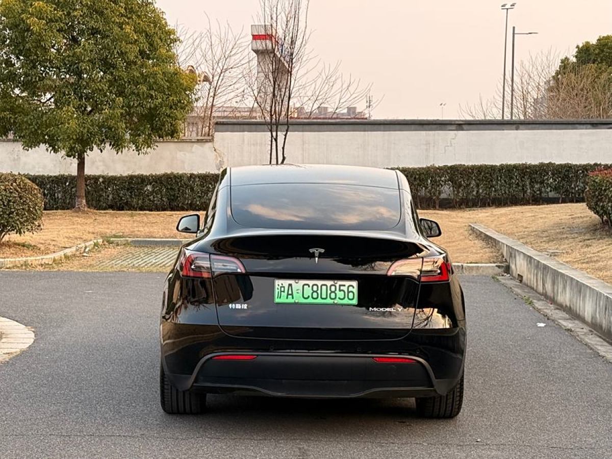 特斯拉 Model 3  2020款 改款 長(zhǎng)續(xù)航后輪驅(qū)動(dòng)版圖片