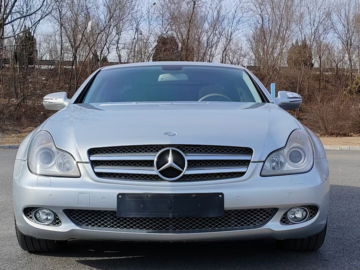 奔馳 奔馳CLS級  2009款 CLS 300圖片