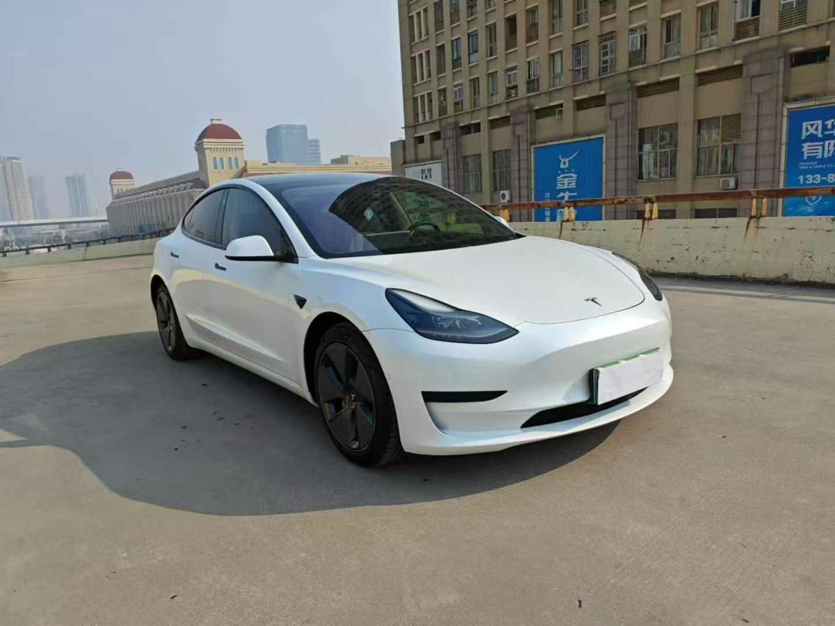 特斯拉 Model Y  2021款 標準續(xù)航后驅(qū)版圖片