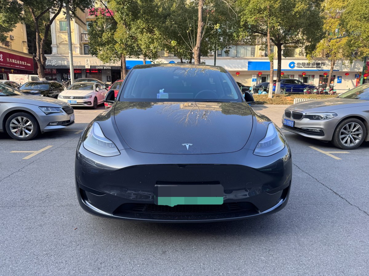 特斯拉 Model 3  2020款 改款 長(zhǎng)續(xù)航后輪驅(qū)動(dòng)版圖片