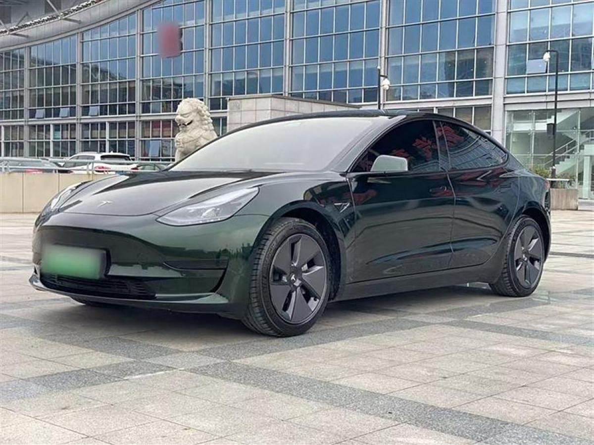 特斯拉 Model 3  2019款 標(biāo)準(zhǔn)續(xù)航后驅(qū)升級版圖片