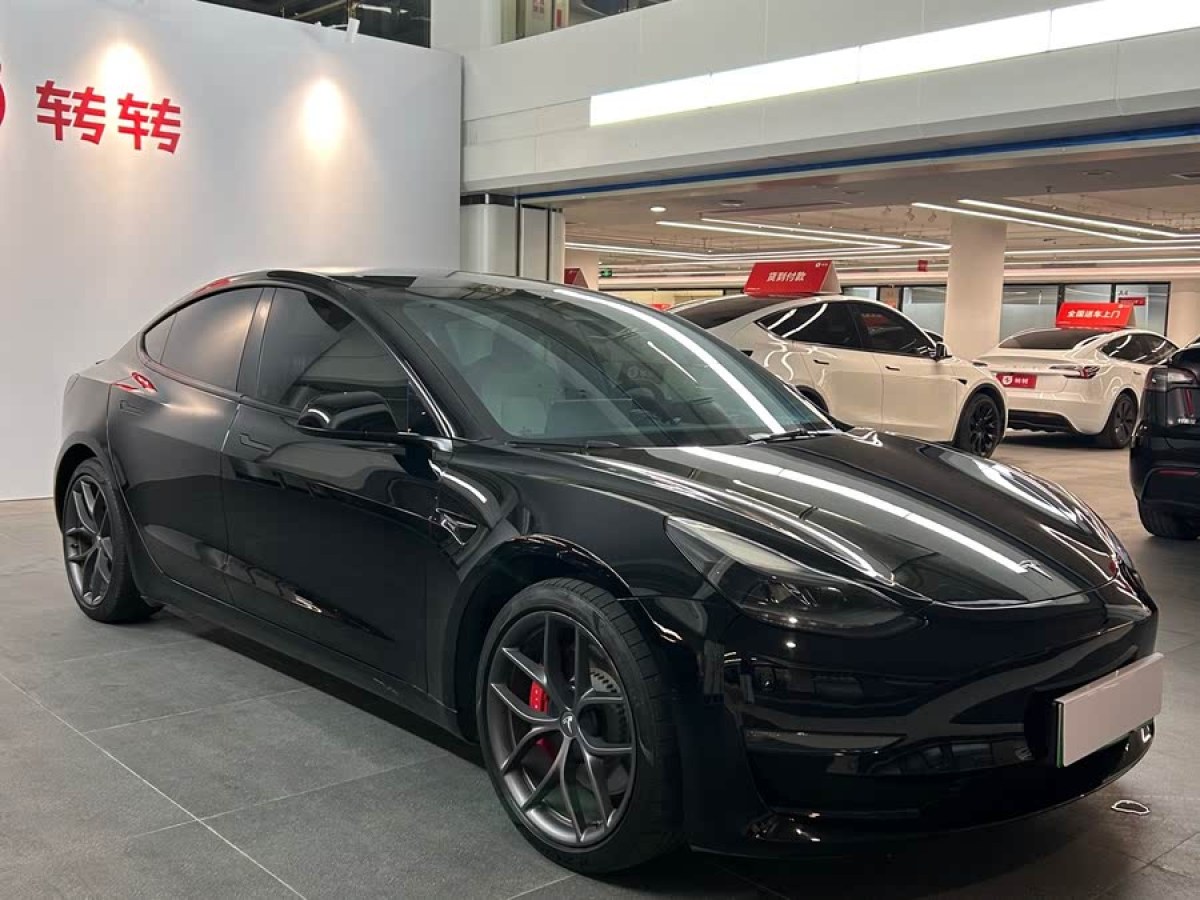 特斯拉 Model 3  2022款 Performance高性能全輪驅(qū)動版圖片