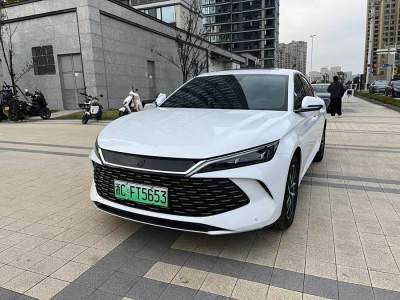 2024年6月 比亞迪 秦L DM-i 120KM領(lǐng)先型圖片