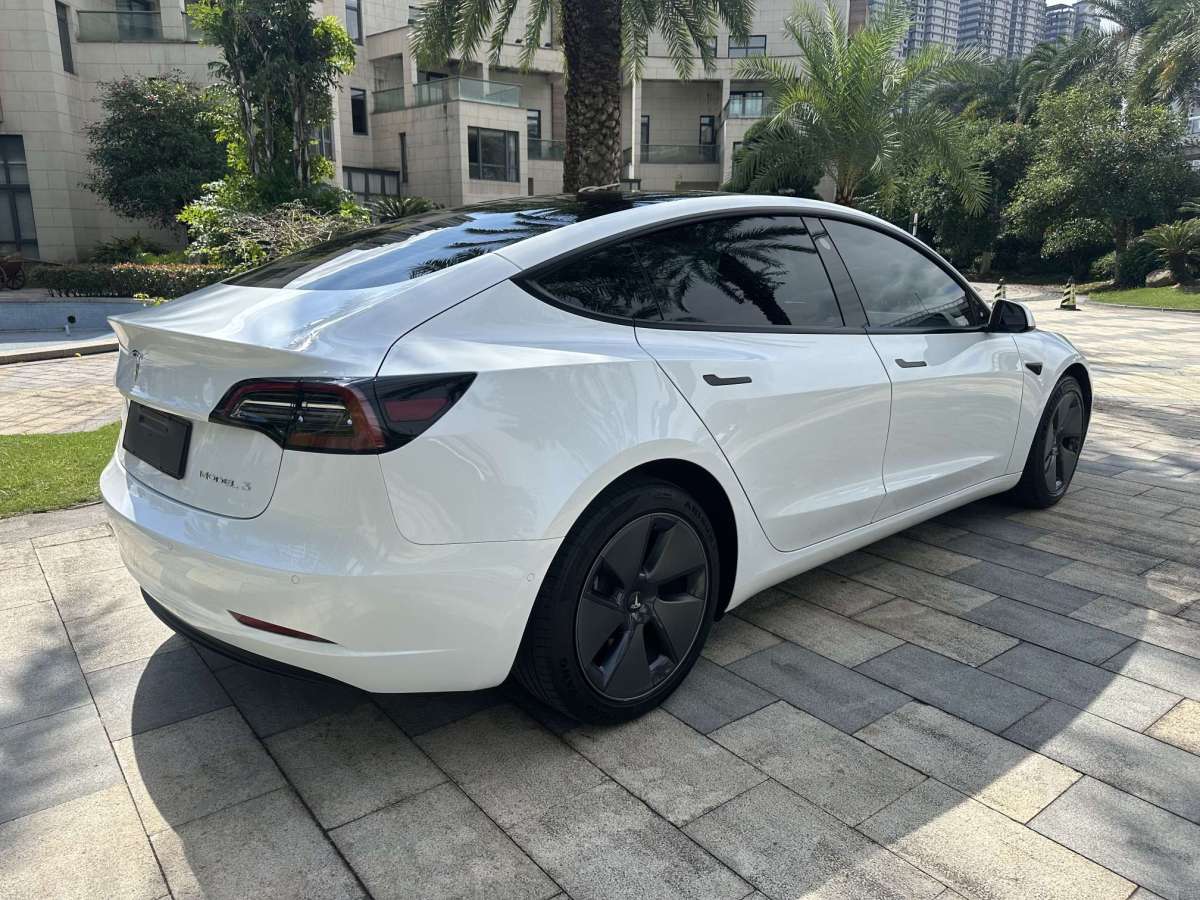 特斯拉 Model 3  2021款 標準續(xù)航后驅(qū)升級版 3D6圖片