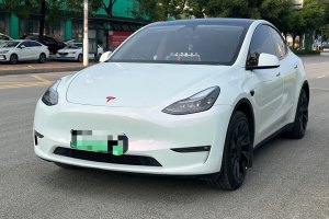 Model Y 特斯拉 后輪驅(qū)動(dòng)版