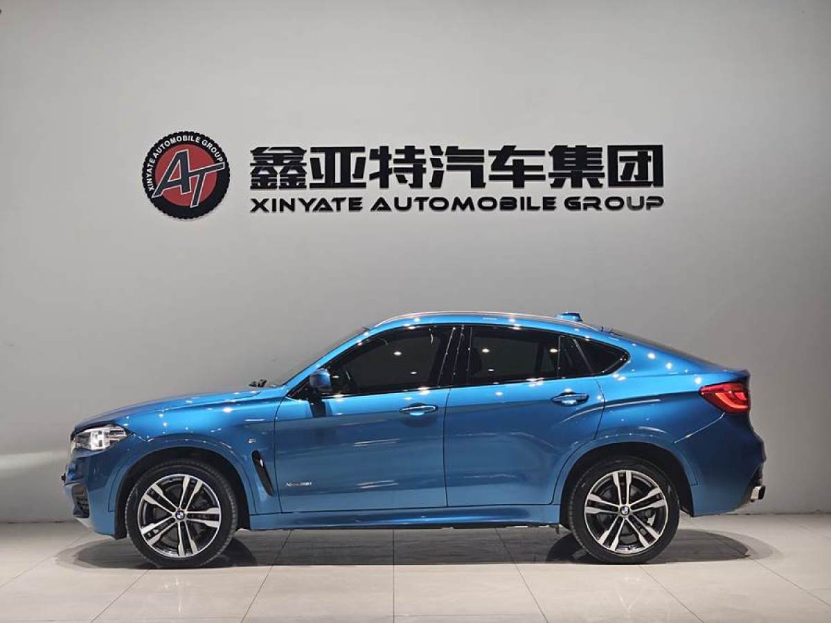 寶馬 寶馬X6  2018款 xDrive35i 領(lǐng)先型圖片