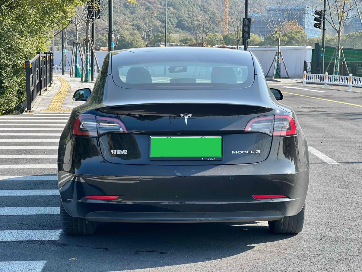 特斯拉 Model 3  2019款 標(biāo)準(zhǔn)續(xù)航后驅(qū)升級版圖片