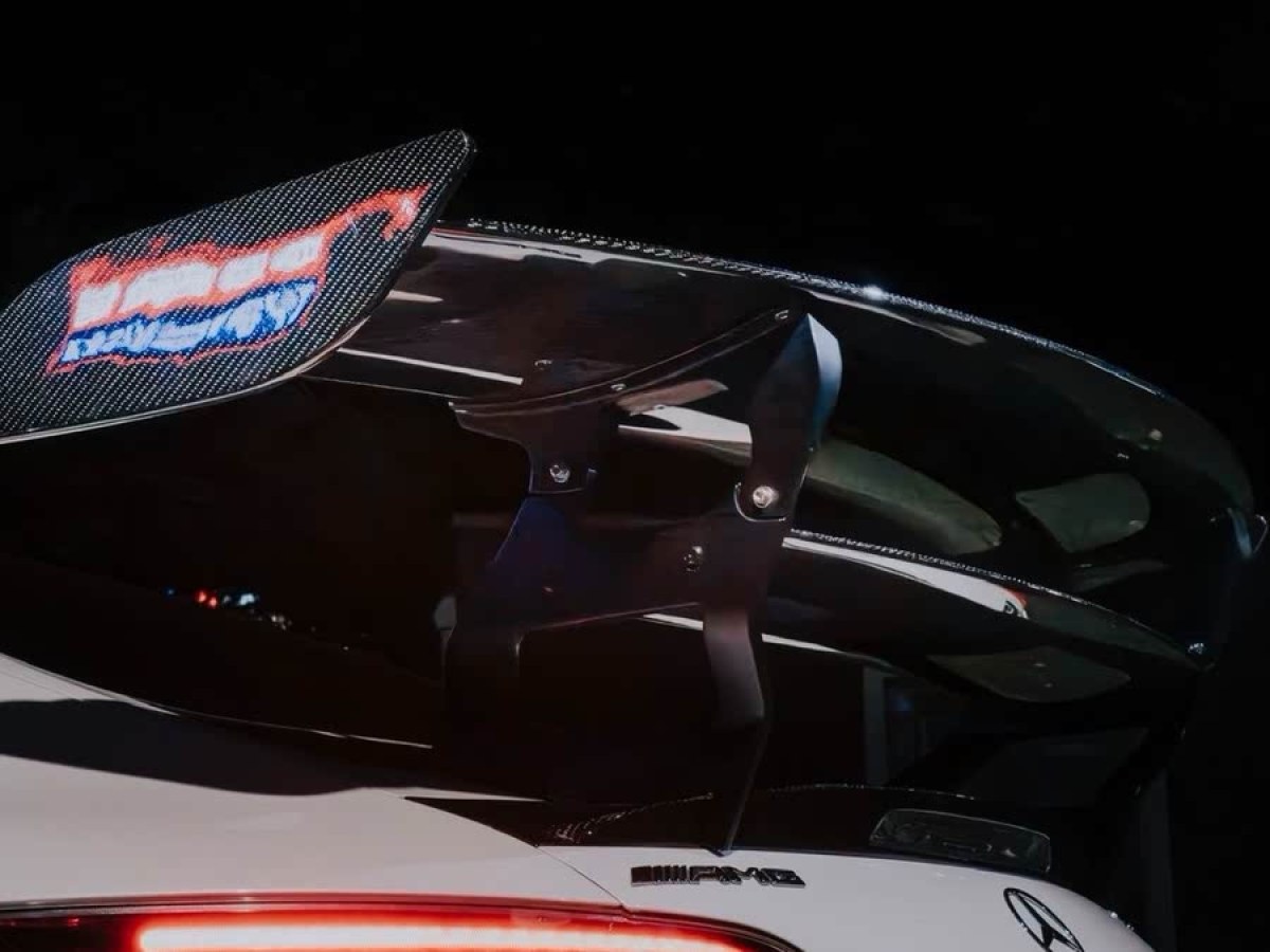奔馳 奔馳AMG GT  2019款 AMG GT R PRO圖片