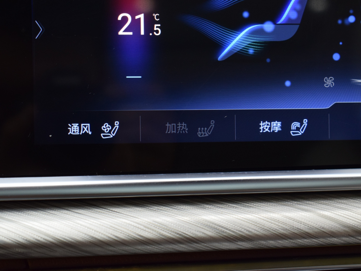 紅旗 紅旗H9  2020款 3.0T 智聯(lián)旗領(lǐng)四座版圖片
