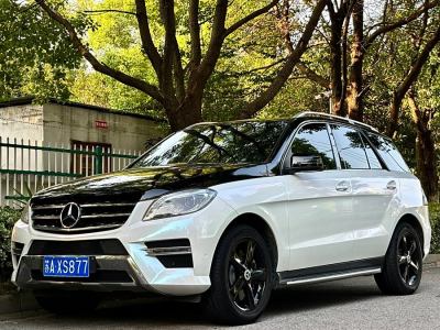 2013年1月 奔驰 奔驰M级(进口) ML 350 动感型图片