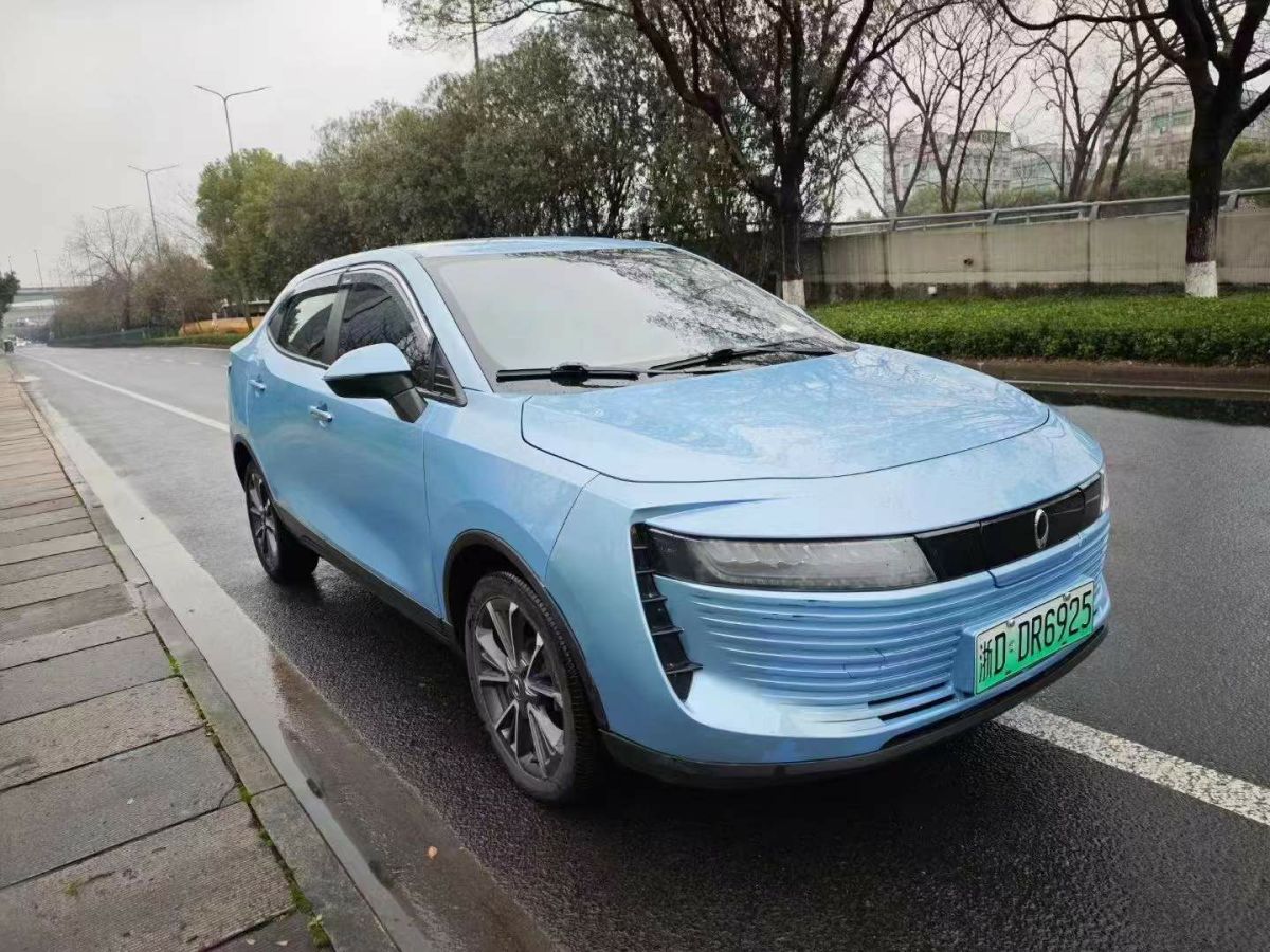 歐拉 歐拉黑貓  2019款 2019款 301km 標(biāo)準(zhǔn)版圖片