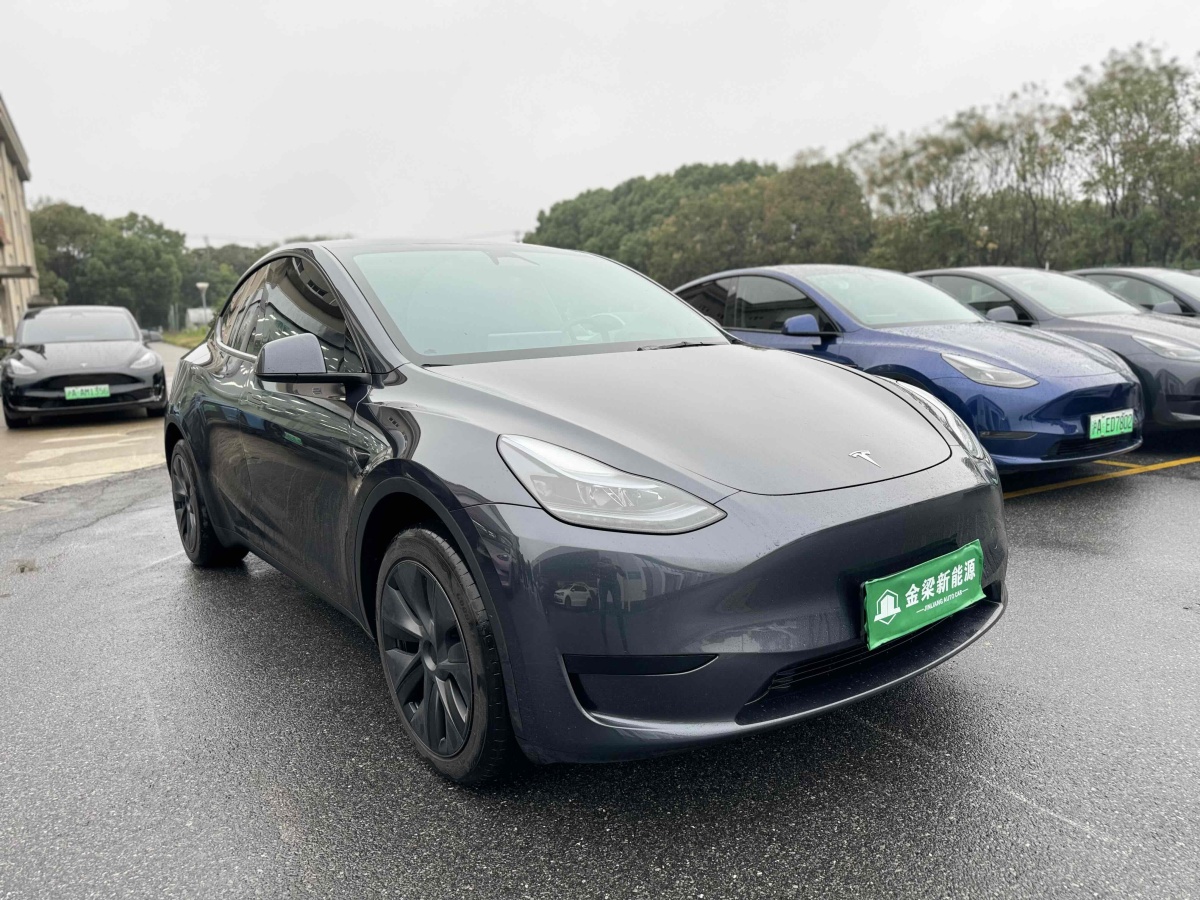 特斯拉 Model Y  2020款 改款 長(zhǎng)續(xù)航后輪驅(qū)動(dòng)版圖片