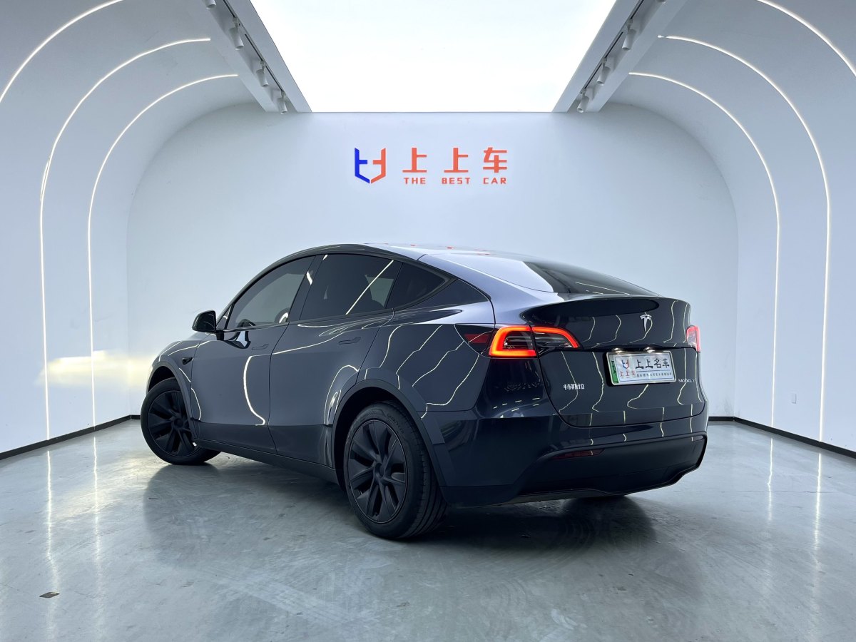 特斯拉 Model 3  2020款 改款 長續(xù)航后輪驅(qū)動(dòng)版圖片