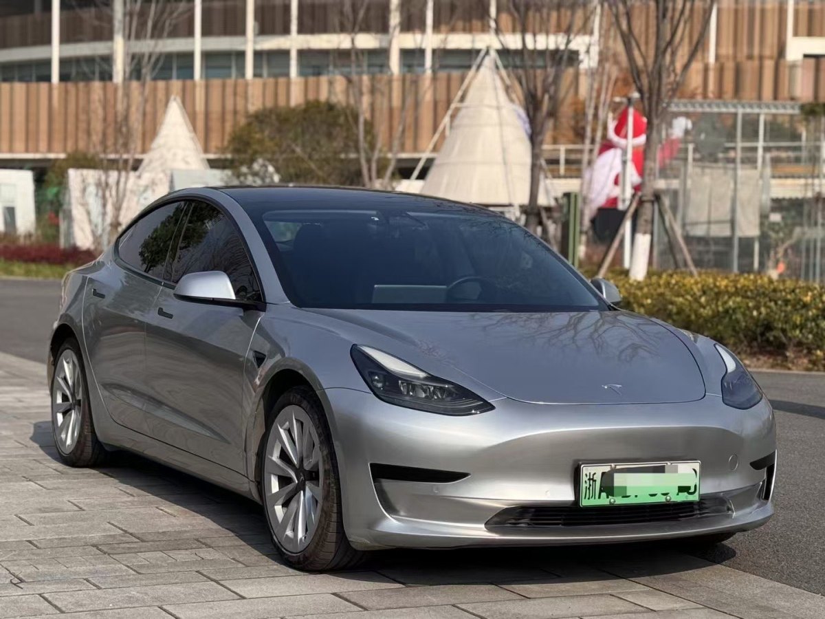 特斯拉 Model 3  2019款 標(biāo)準(zhǔn)續(xù)航后驅(qū)升級版圖片