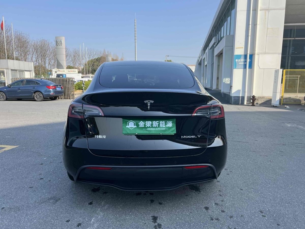 特斯拉 Model 3  2020款 改款 長續(xù)航后輪驅(qū)動(dòng)版圖片