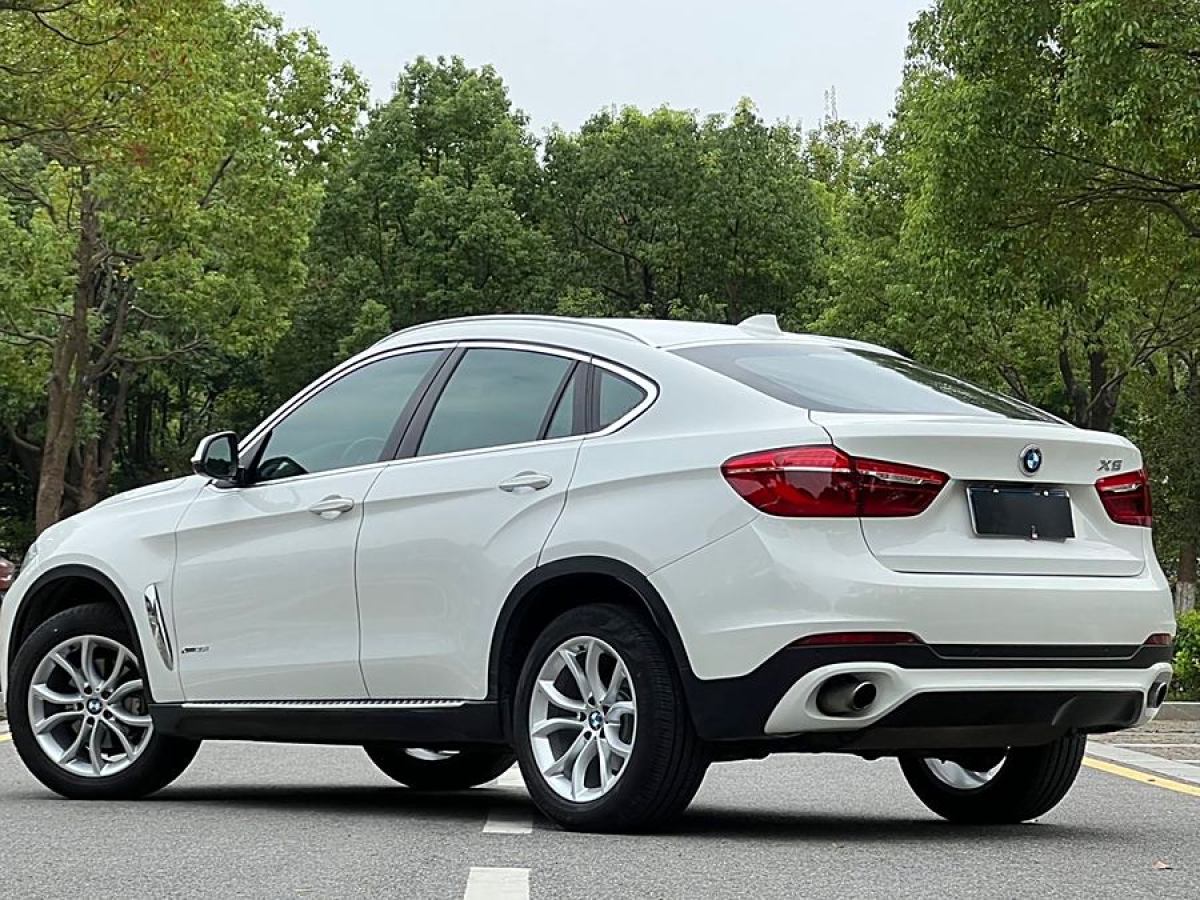 寶馬 寶馬X6  2015款 xDrive35i 領(lǐng)先型圖片