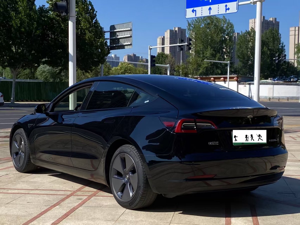 特斯拉 Model 3  2020款 改款 標(biāo)準(zhǔn)續(xù)航后驅(qū)升級(jí)版圖片