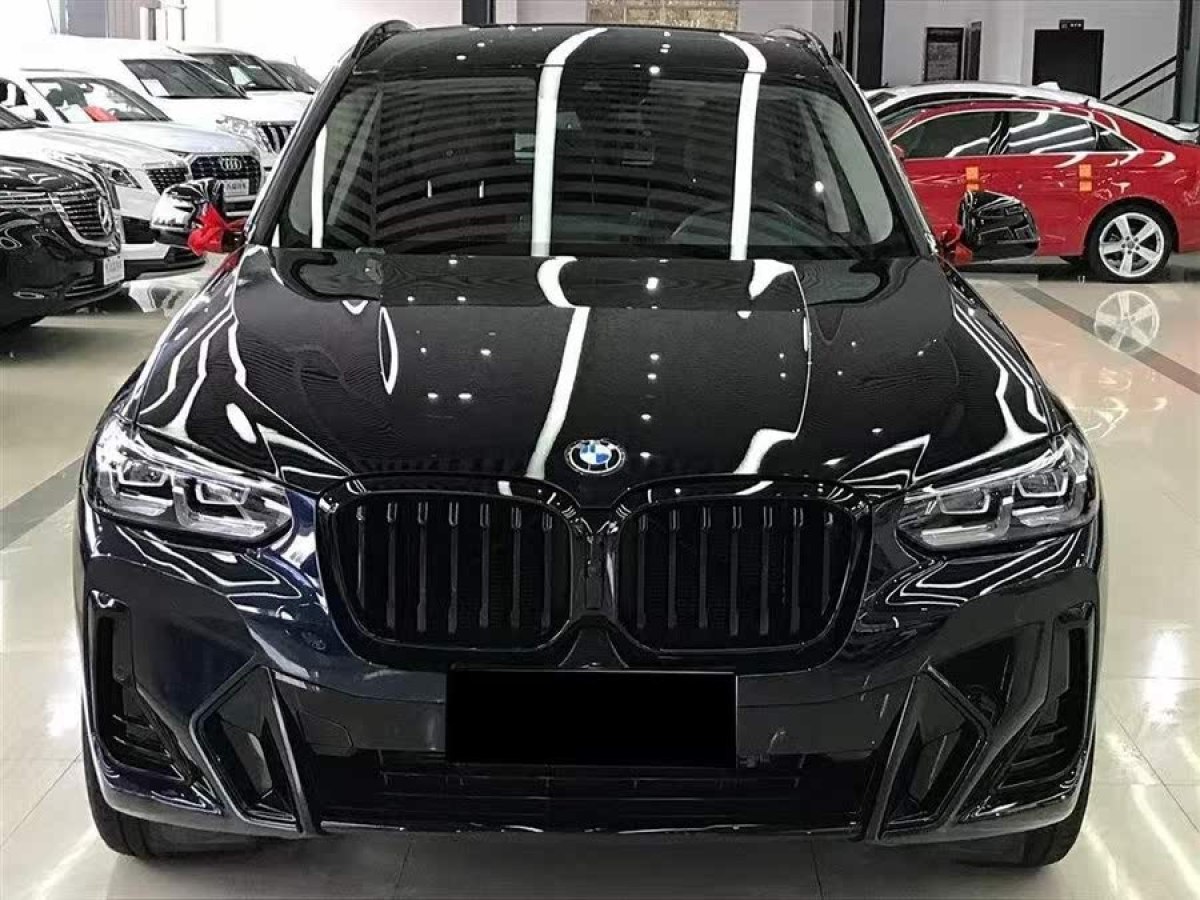 寶馬 寶馬X3  2023款 xDrive30i 領(lǐng)先型 M曜夜套裝圖片