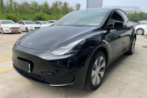 Model Y 特斯拉 后轮驱动版