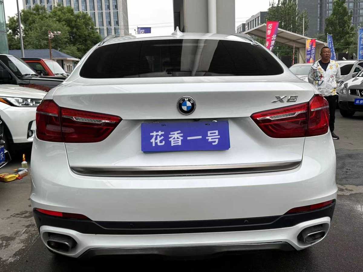 寶馬 寶馬X6  2017款 xDrive35i 領(lǐng)先型圖片