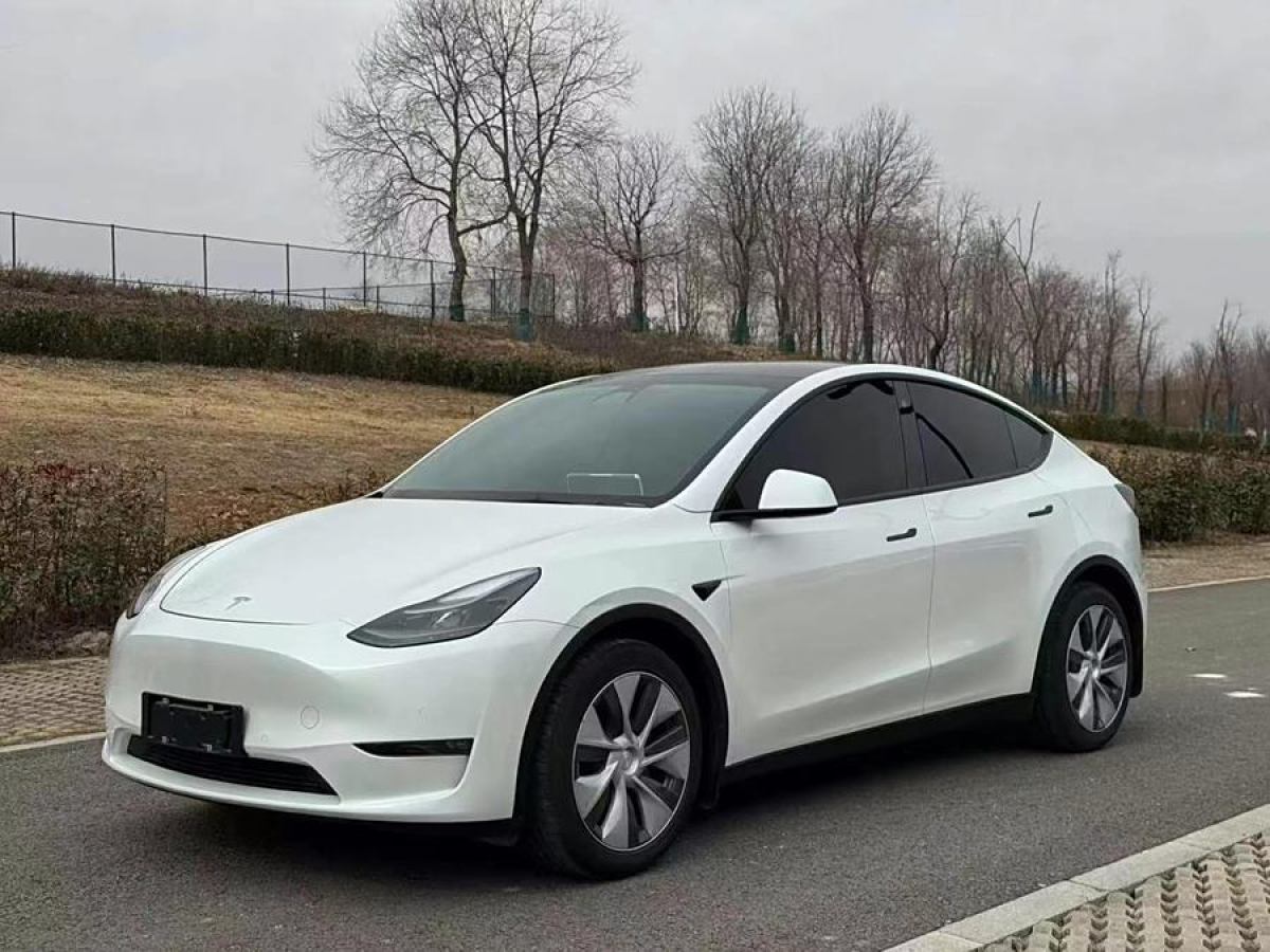 特斯拉 Model 3  2021款 改款 標(biāo)準(zhǔn)續(xù)航后驅(qū)升級(jí)版圖片