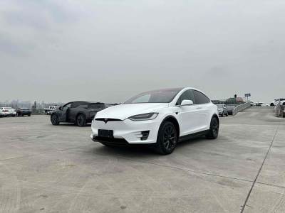 2017年2月 特斯拉 Model X Model X 90D圖片