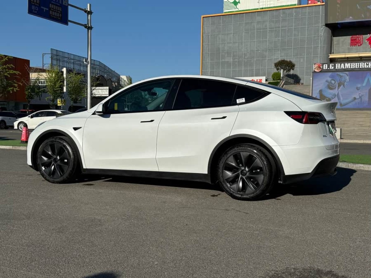 特斯拉 Model Y  2024款 長(zhǎng)續(xù)航全輪驅(qū)動(dòng)版圖片