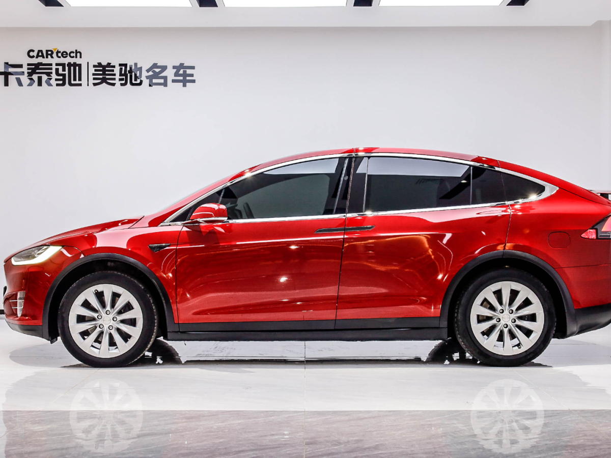 特斯拉 Model X 2019款 MODEL X 標(biāo)準(zhǔn)續(xù)航版圖片