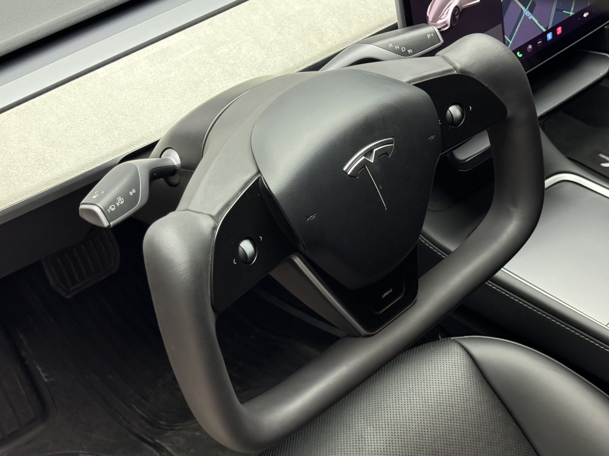 特斯拉 Model 3  2019款 標(biāo)準續(xù)航后驅(qū)升級版圖片