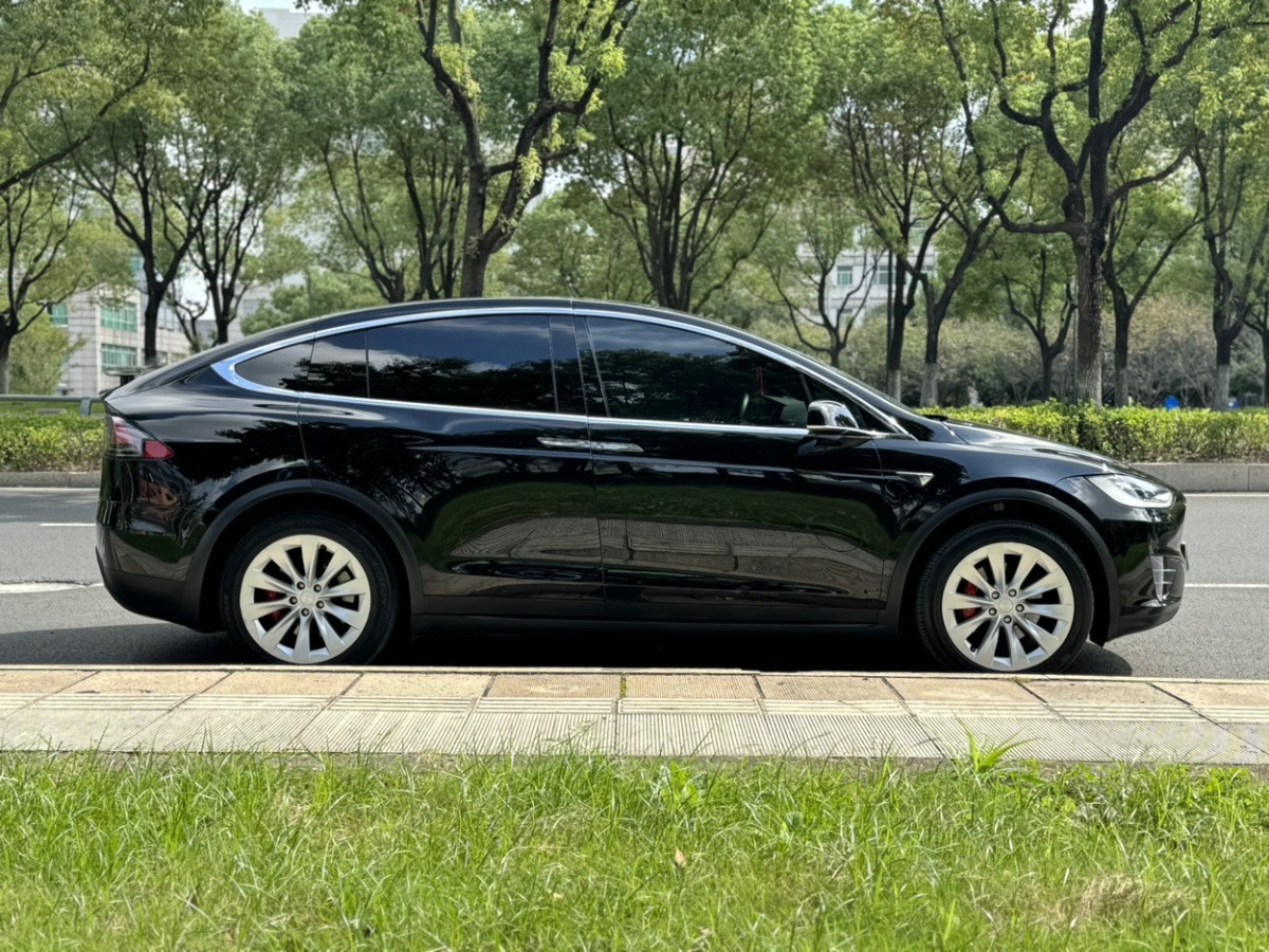 2019年7月特斯拉 Model X  2016款 Model X P100D Performance高性能版